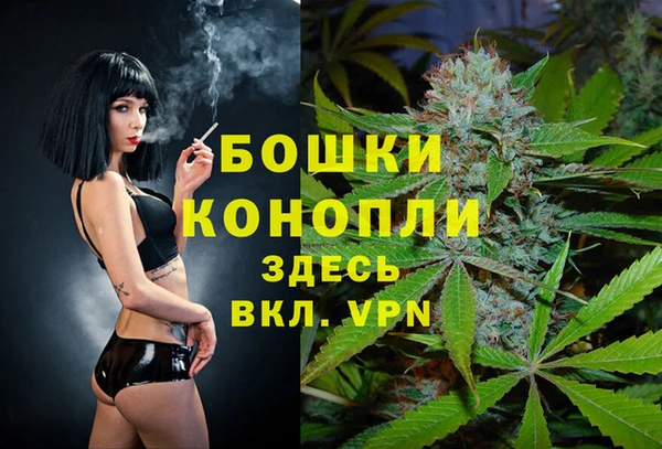 винт Баксан