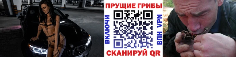 Галлюциногенные грибы GOLDEN TEACHER  купить наркотик  Бор 